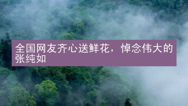 全国网友齐心送鲜花，悼念伟大的张纯如