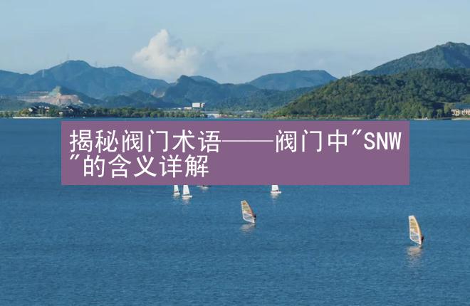 揭秘阀门术语——阀门中"SNW"的含义详解