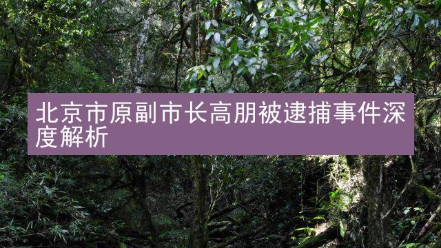 北京市原副市长高朋被逮捕事件深度解析