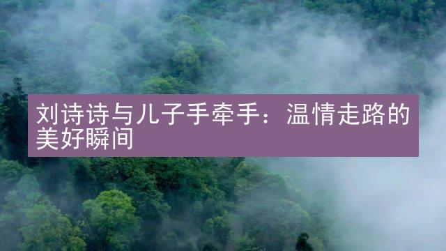 刘诗诗与儿子手牵手：温情走路的美好瞬间