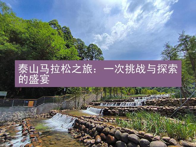 泰山马拉松之旅：一次挑战与探索的盛宴