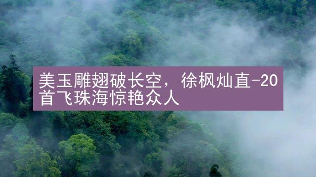 美玉雕翅破长空，徐枫灿直-20首飞珠海惊艳众人