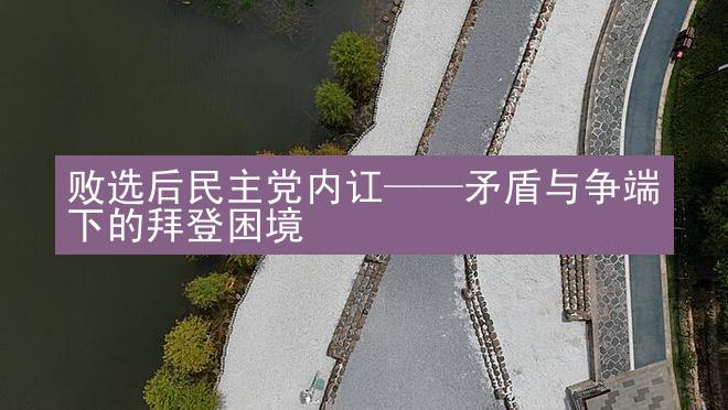 败选后民主党内讧——矛盾与争端下的拜登困境