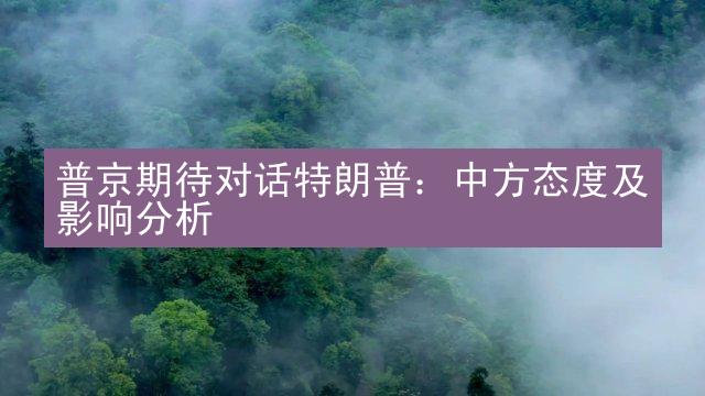 普京期待对话特朗普：中方态度及影响分析