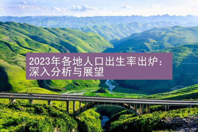 2023年各地人口出生率出炉：深入分析与展望