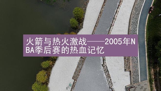 火箭与热火激战——2005年NBA季后赛的热血记忆