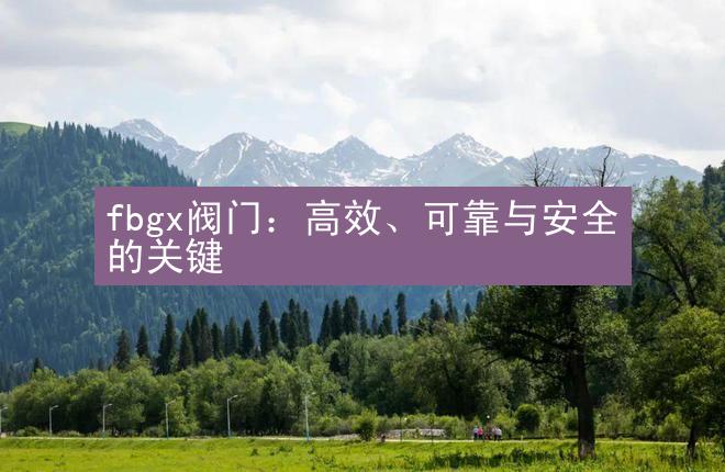 fbgx阀门：高效、可靠与安全的关键