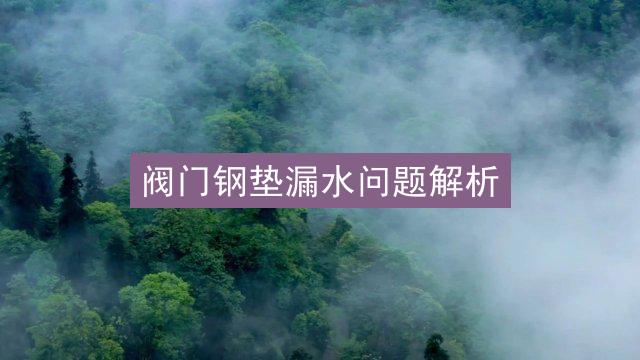 阀门钢垫漏水问题解析