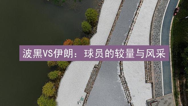 波黑VS伊朗：球员的较量与风采