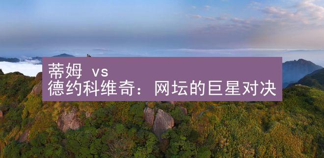 蒂姆 vs 德约科维奇：网坛的巨星对决