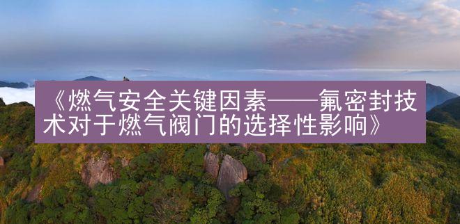 《燃气安全关键因素——氟密封技术对于燃气阀门的选择性影响》