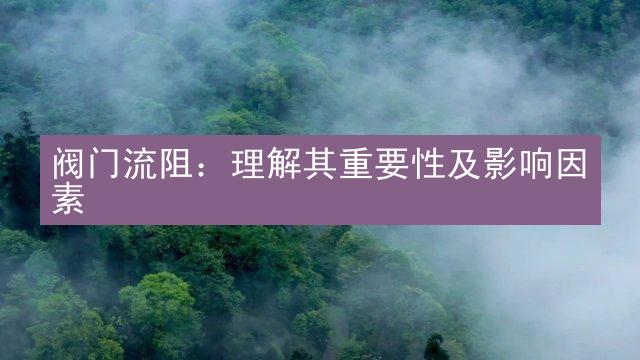 阀门流阻：理解其重要性及影响因素