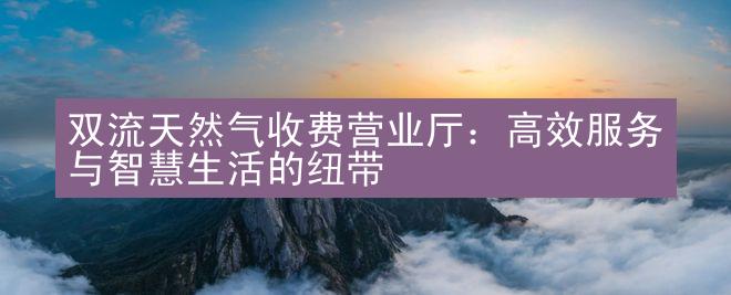 双流天然气收费营业厅：高效服务与智慧生活的纽带