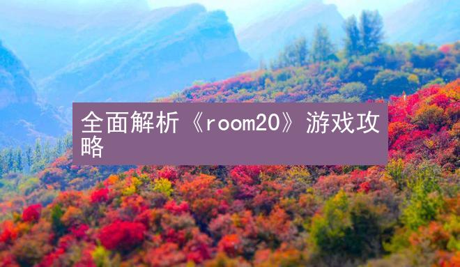 全面解析《room20》游戏攻略