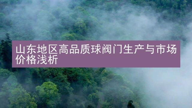 山东地区高品质球阀门生产与市场价格浅析