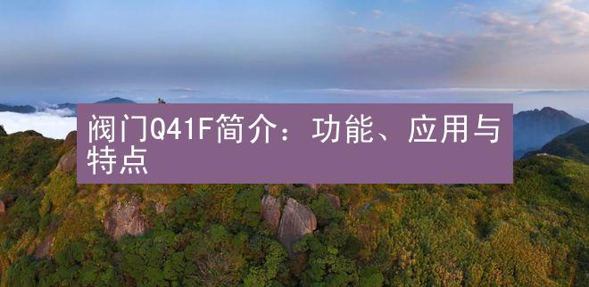 阀门Q41F简介：功能、应用与特点