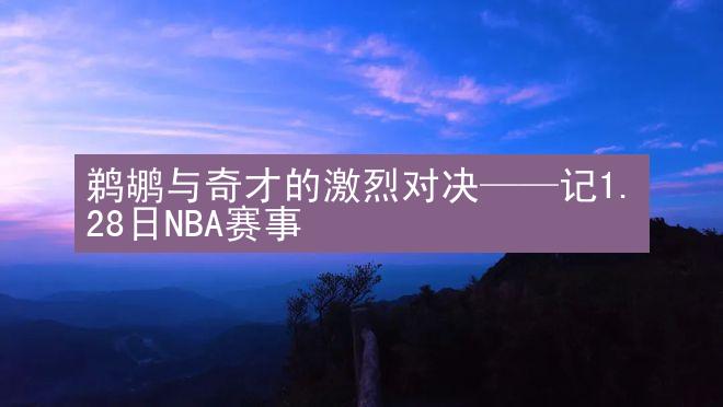 鹈鹕与奇才的激烈对决——记1.28日NBA赛事