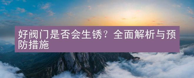 好阀门是否会生锈？全面解析与预防措施