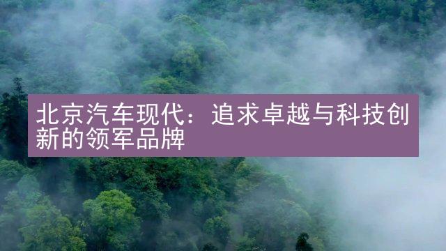 北京汽车现代：追求卓越与科技创新的领军品牌