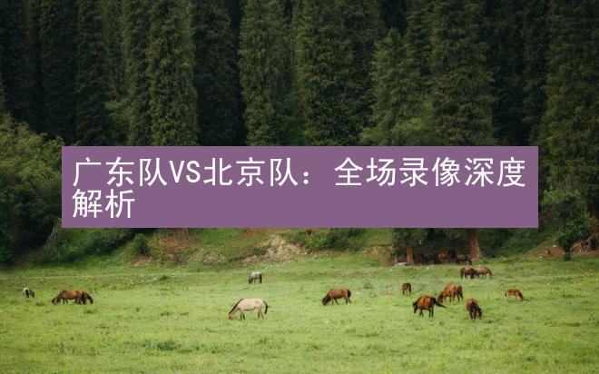 广东队VS北京队：全场录像深度解析