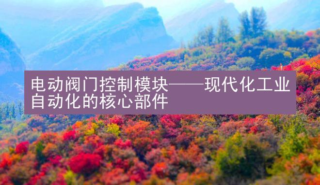 电动阀门控制模块——现代化工业自动化的核心部件