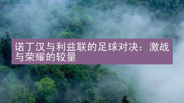 诺丁汉与利兹联的足球对决：激战与荣耀的较量