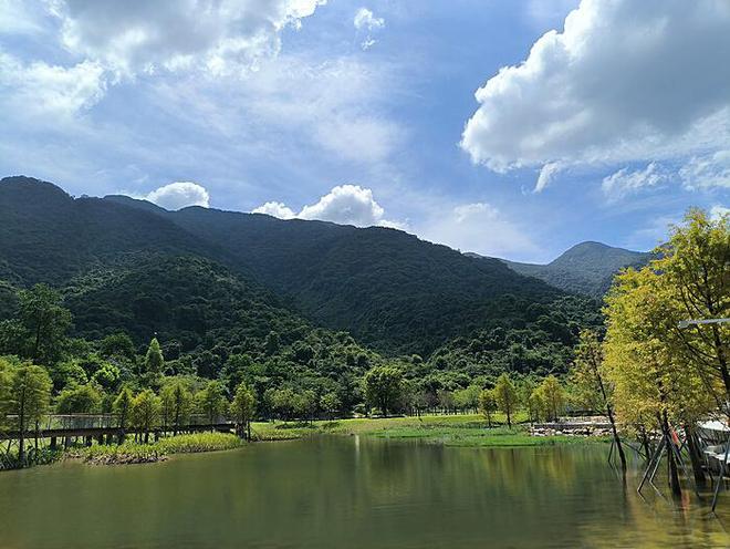 同花顺子公司遭遇监管风暴：被责令改正并暂停新增客户